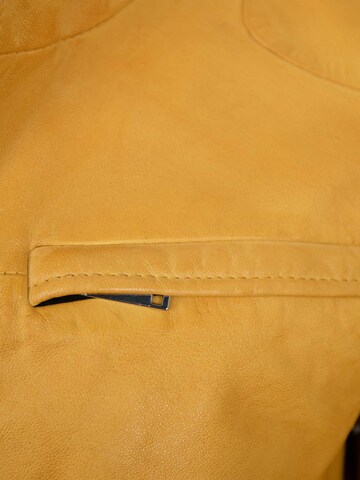 Jilani Tussenjas 'Kawelo' in Geel