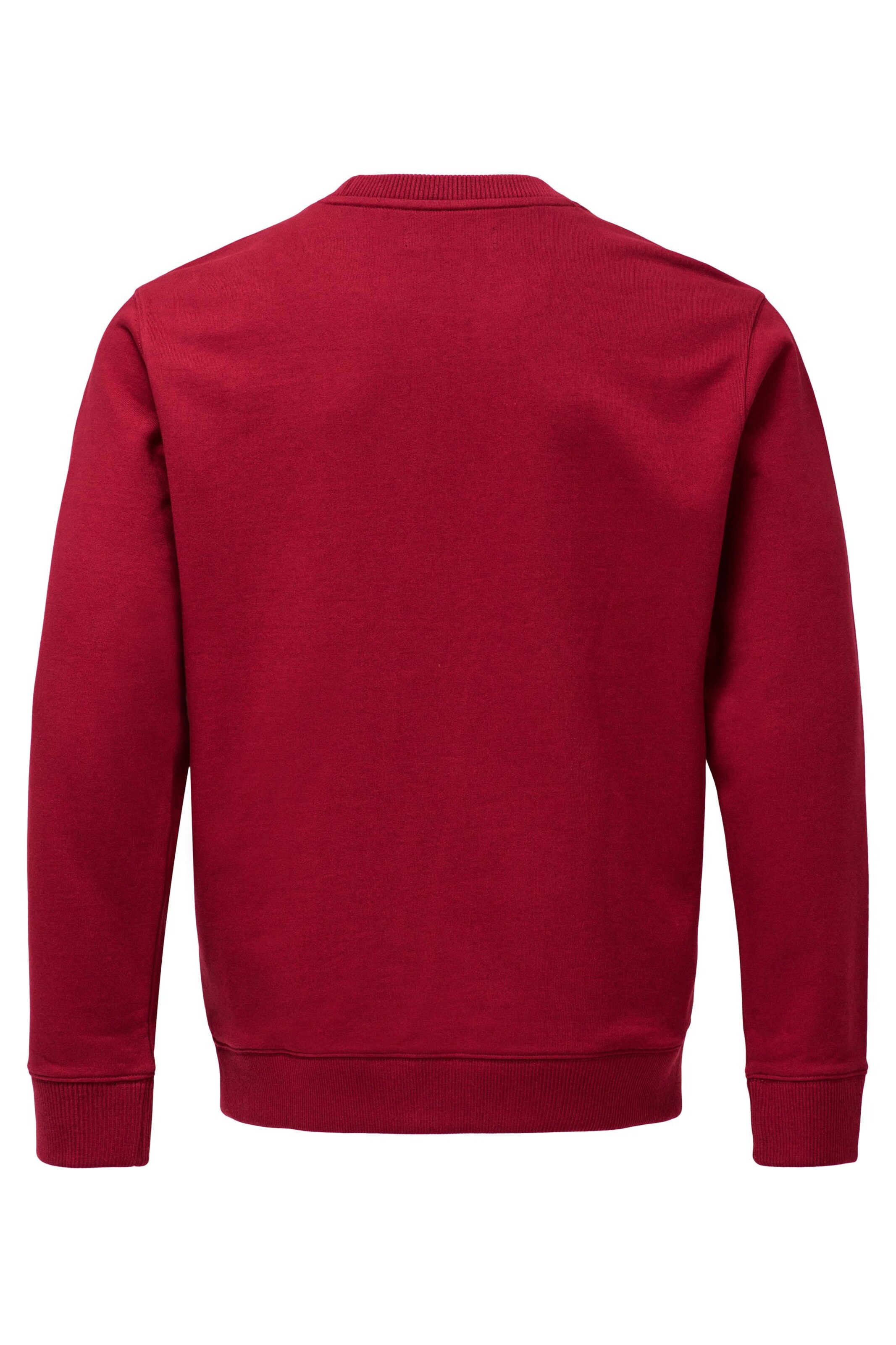 Salsa Jeans Sweatshirt in Red