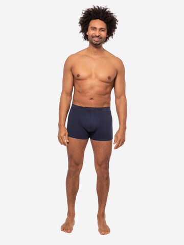 Almonu Boxer shorts 'Cotton' in Blue