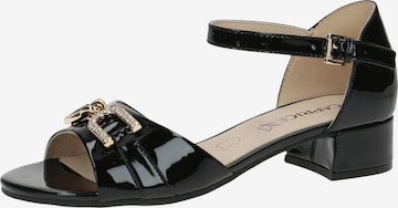 CAPRICE Sandals in Black: front