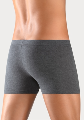 BENCH Boxershorts i blå