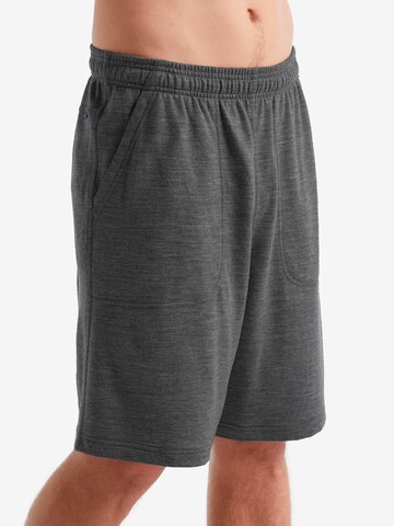 ICEBREAKER Regular Sportshorts in Grau