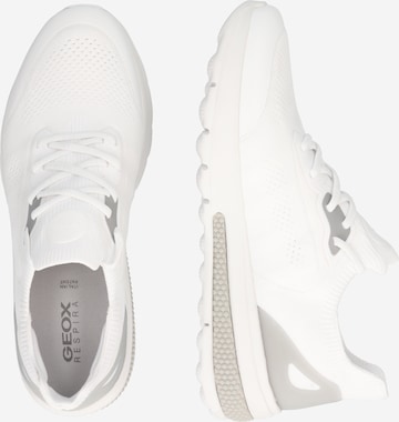 Sneaker bassa 'Spherica Actif' di GEOX in bianco