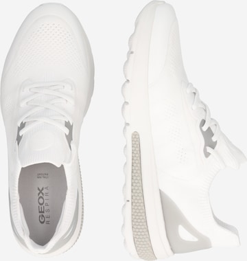 GEOX Platform trainers 'Spherica Actif' in White