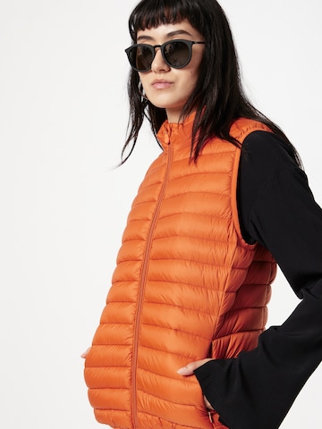 SAVE THE DUCK Vest 'CHARLOTTE' i orange