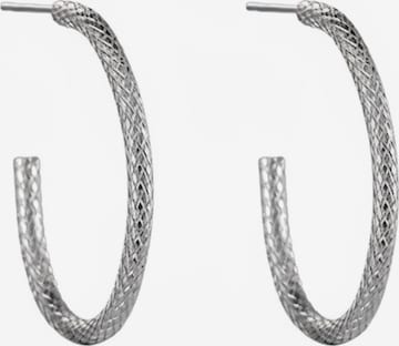 Cala Rose Ohrringe 'SNAKE' in Silber: Vorderseite