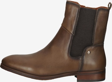 PIKOLINOS Chelsea boots in Bruin