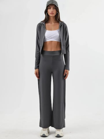 Hiccup Kostuum in Grijs: voorkant