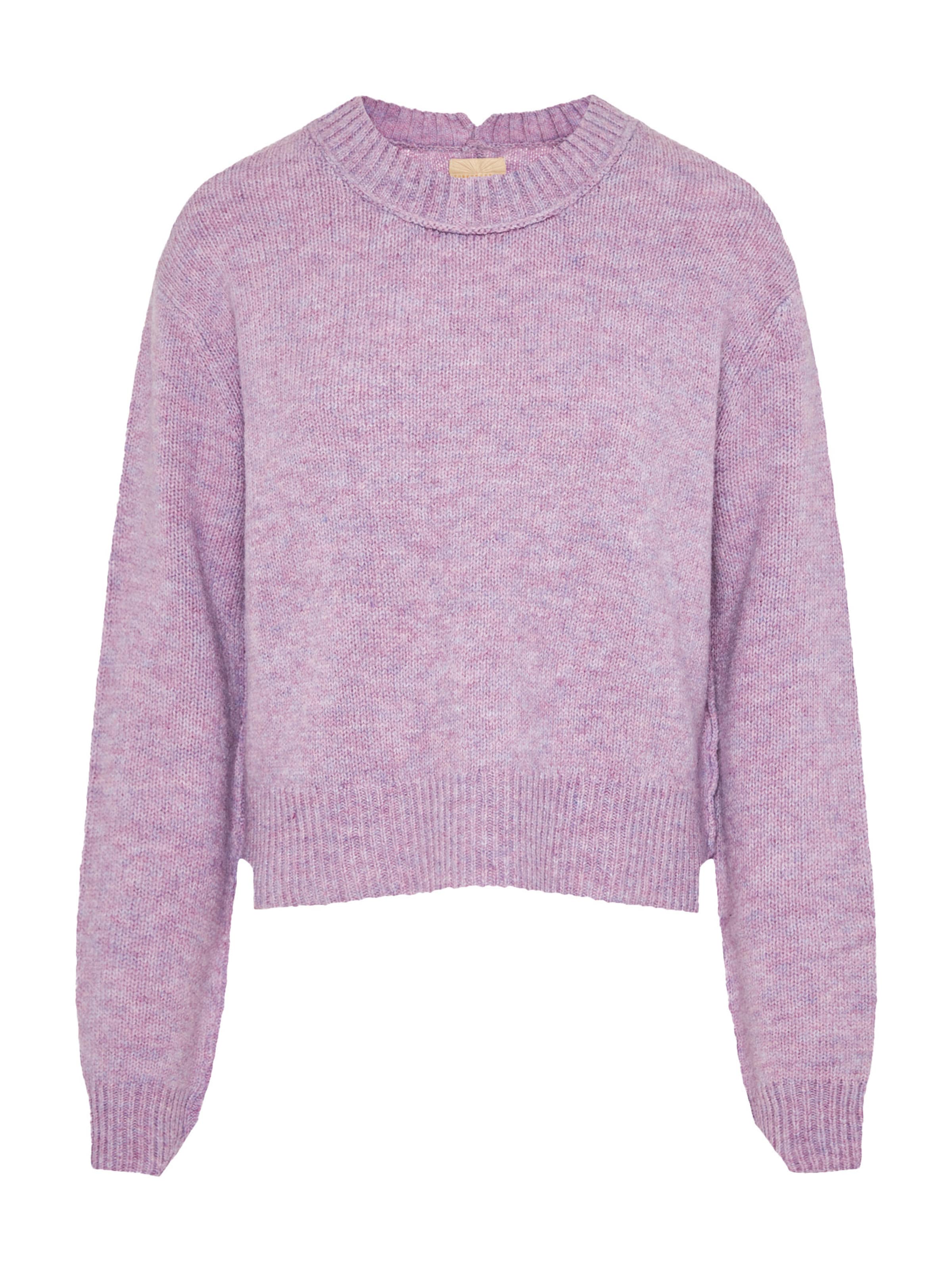 Funky Buddha - Pullover em roxo: frente