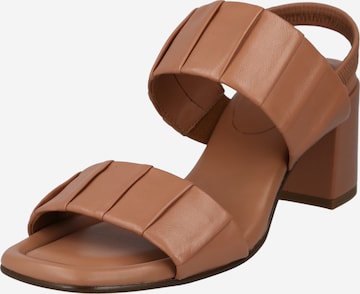 Högl Sandals in Brown: front