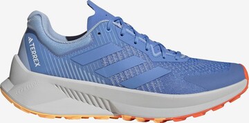 ADIDAS TERREX Laufschuh in Blau