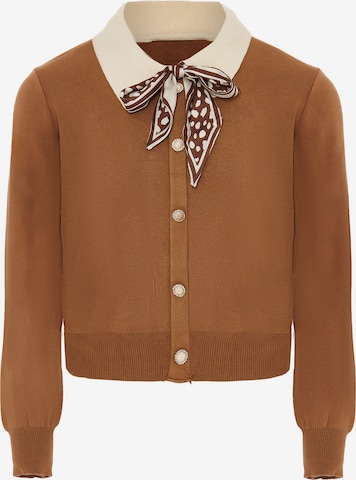 NAEMI Strickjacke in Braun: Vorderseite
