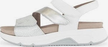 Sandalo 'Sandalette Damen 66.882 51 Leder-Mix in weiß' di Gabor Comfort in bianco: frontale