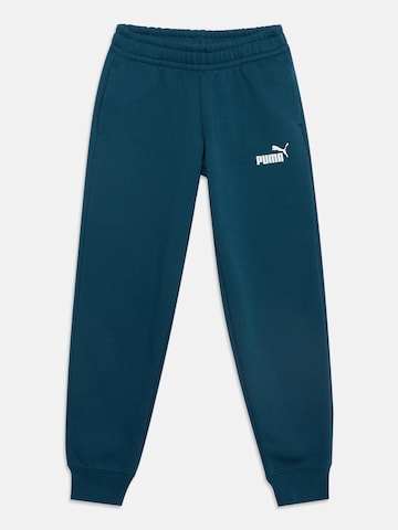PUMA Jogginganzug 'ESS No.1' in Grün