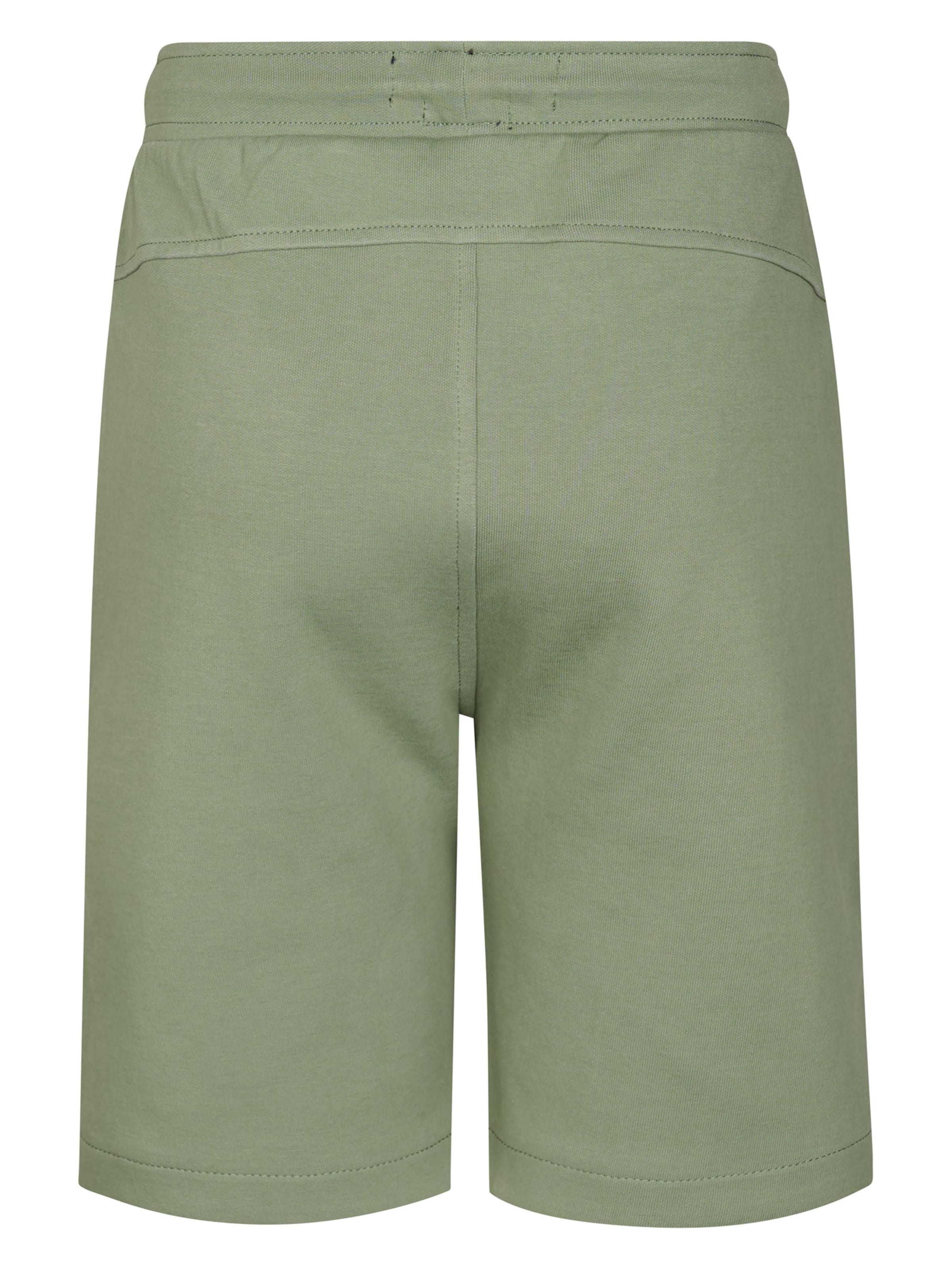Petrol Industries Regular Trousers in Green