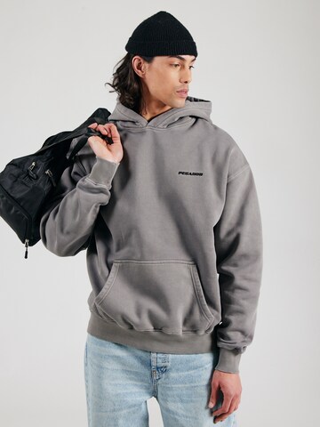 Pegador Sweatshirt in Grau: Vorderseite