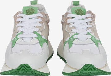 Apple of Eden Sneakers laag 'LOLA' in Gemengde kleuren
