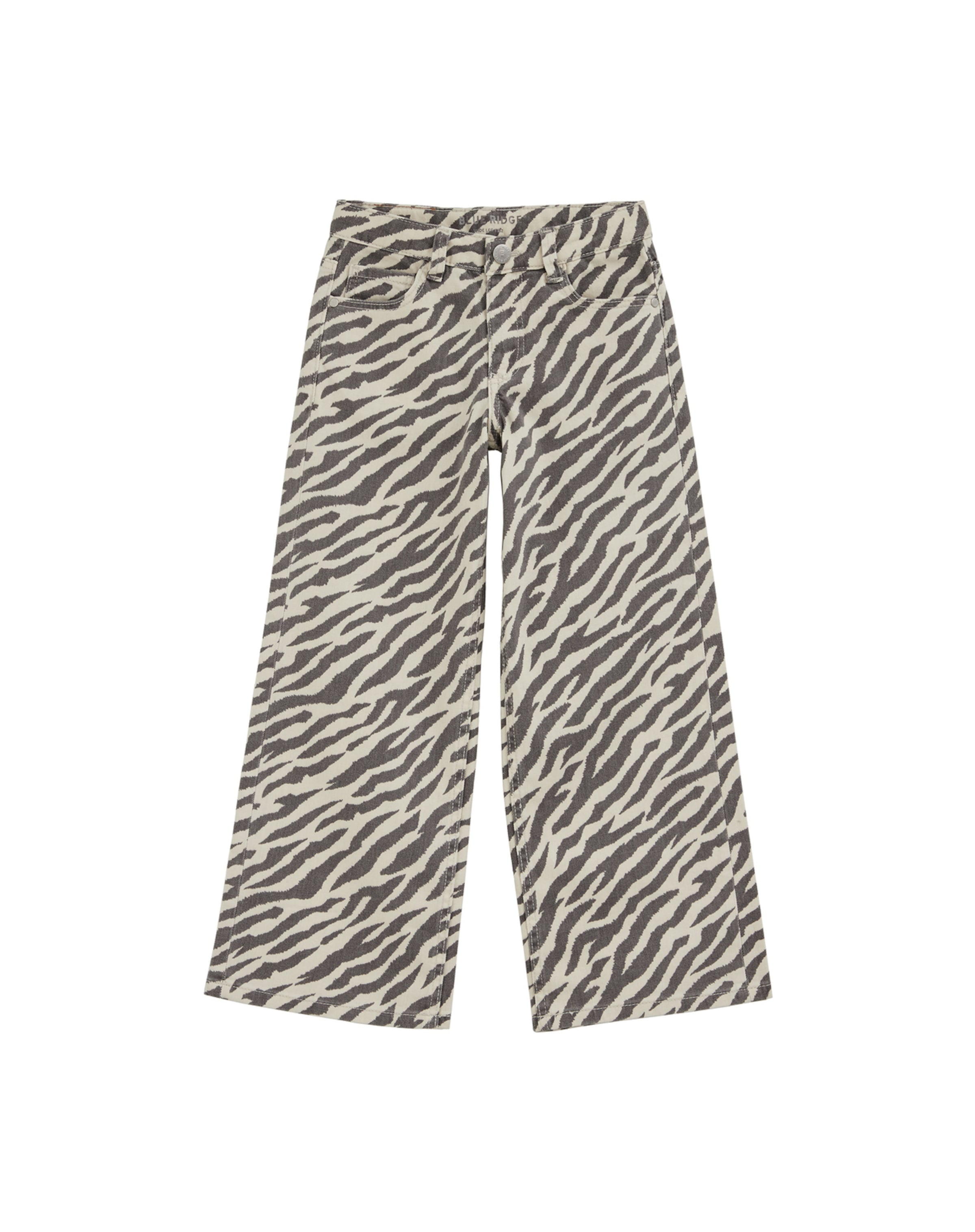 Wide Leg Jean WE Fashion en beige : devant