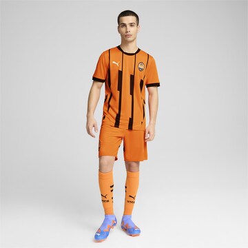 Regular Pantalon de sport 'FC Shakhtar Donetsk 24/25' PUMA en orange