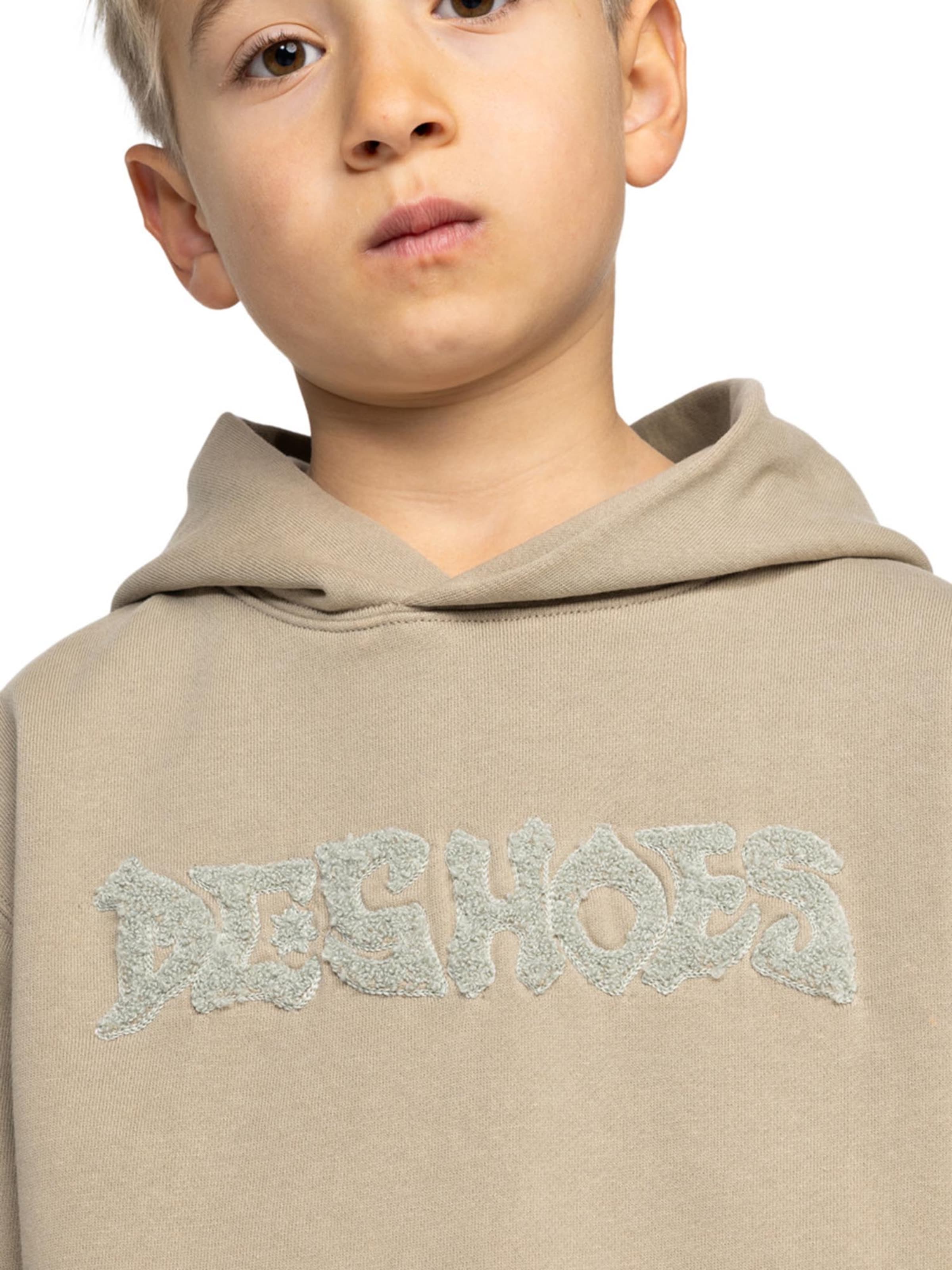 Hanorac sport 'MORTAR' de la DC Shoes pe bej