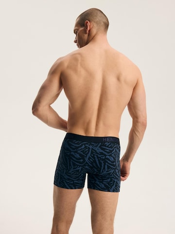 Boxer di Henderson in colori misti