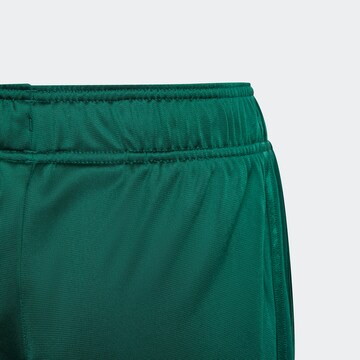 ADIDAS ORIGINALS Wide leg Broek 'Coliate Graphic ' in Groen