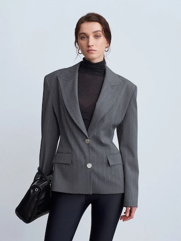 Dilvin Blazer in Grey: front