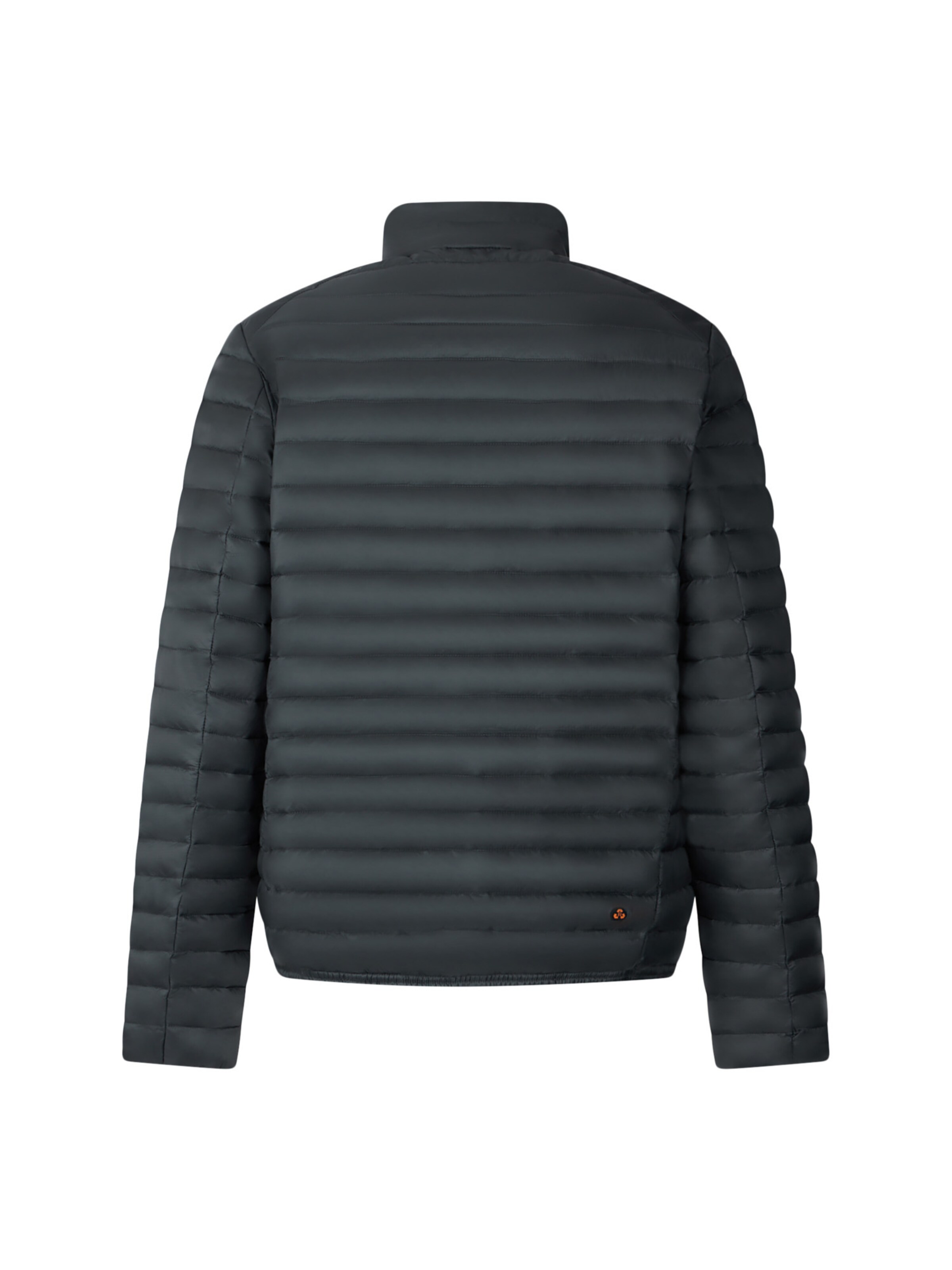 Veste mi-saison 'Archibald' SAVE THE DUCK en gris