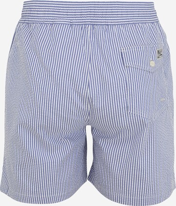 Polo Ralph Lauren Zwemshorts 'Traveler' in Blauw