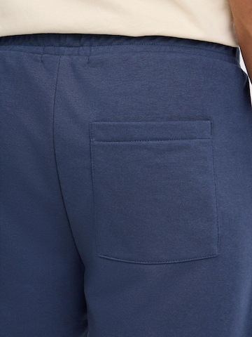 Loosefit Pantaloni ' BHCANO ' di BLEND in blu