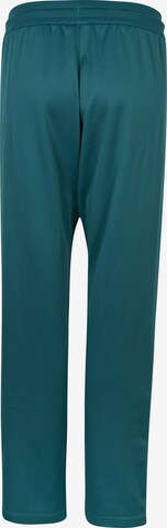 O'NEILL Regular Workout Pants 'Rutile' in Green