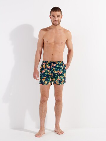 HOM Board Shorts ' Flamingo Beach Boxer ' in Mixed colors: front