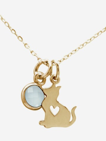 Gemshine Ketting in Goud