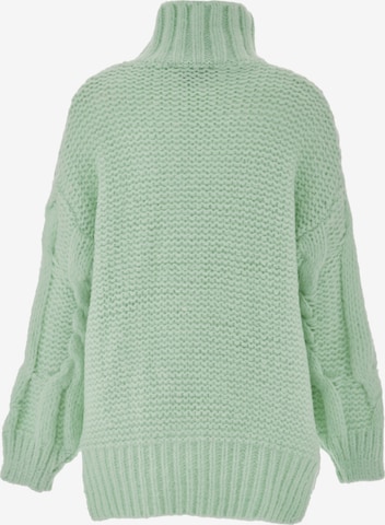 ebeeza Sweater in Green