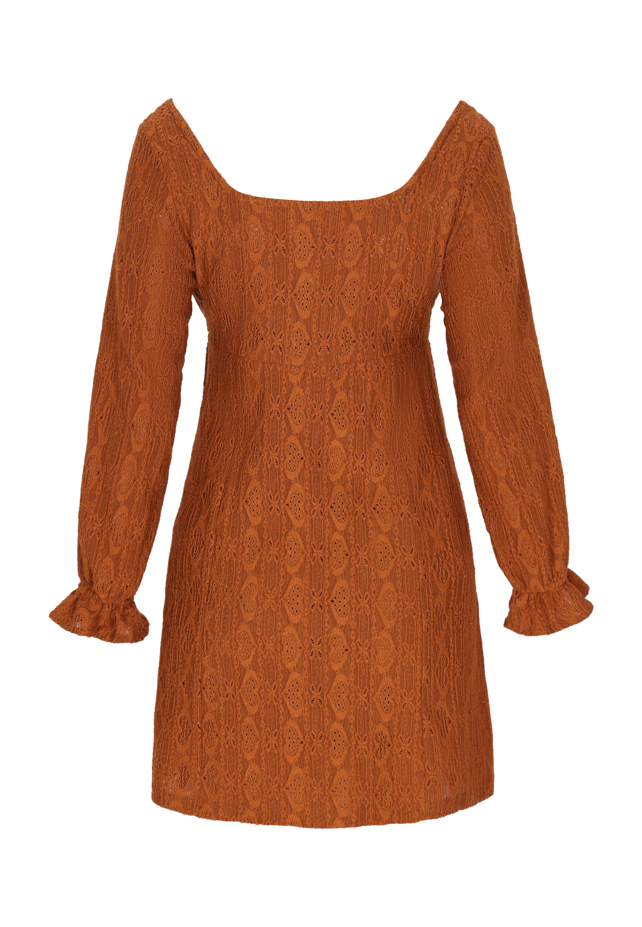 ebeeza Dress in Brown