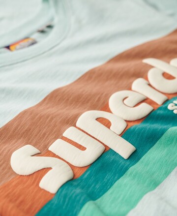 Superdry Shirt in Groen