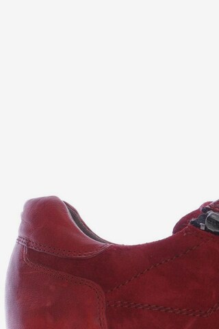 Paul Green Sneaker 39 in Rot