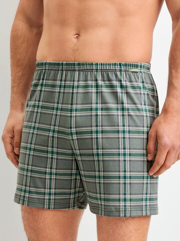 CALIDA Boxer shorts 'Prints' in Green