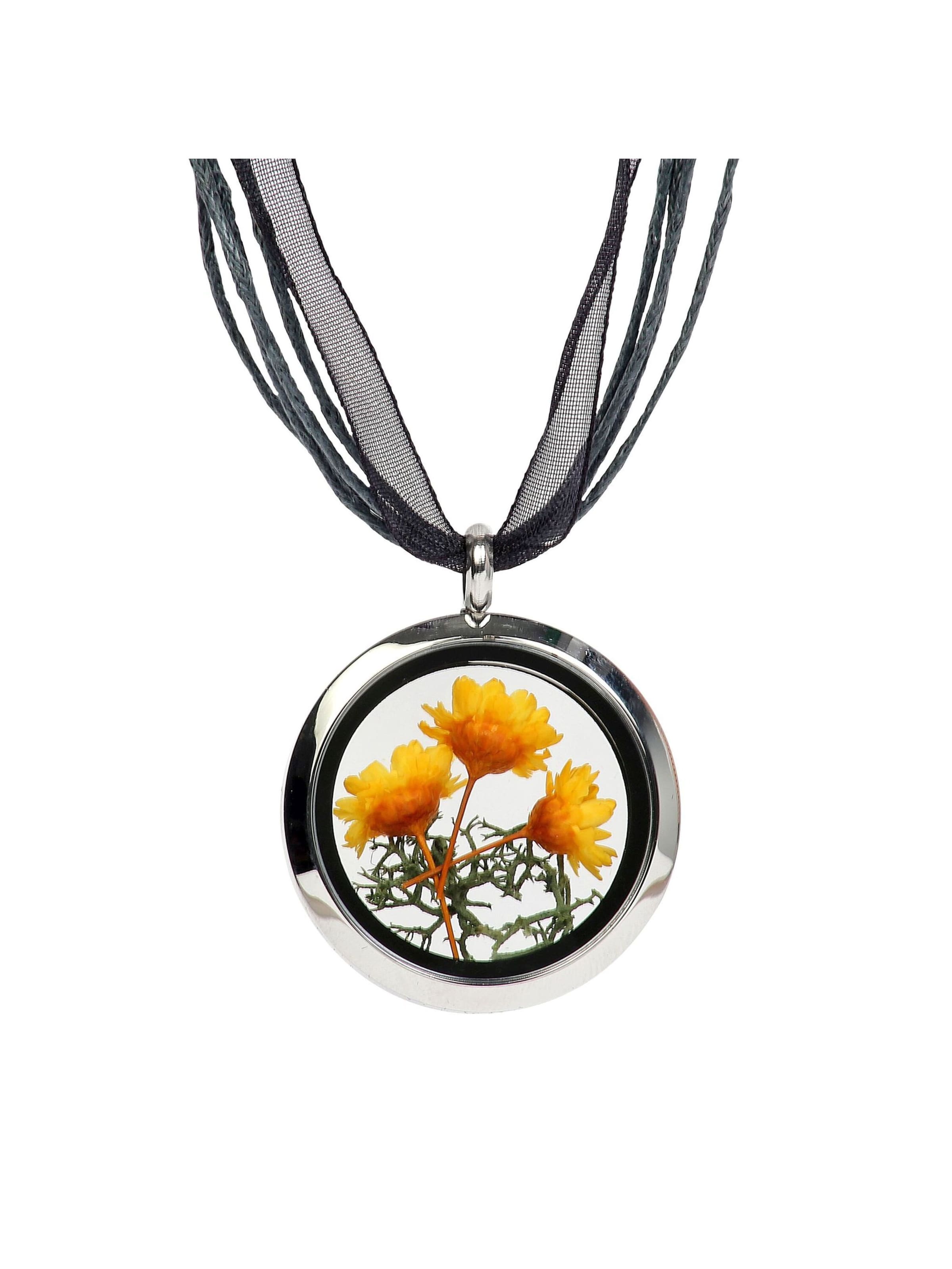 Chaîne DeMarie en jaune : devant