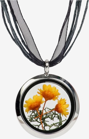 Chaîne DeMarie en jaune : devant