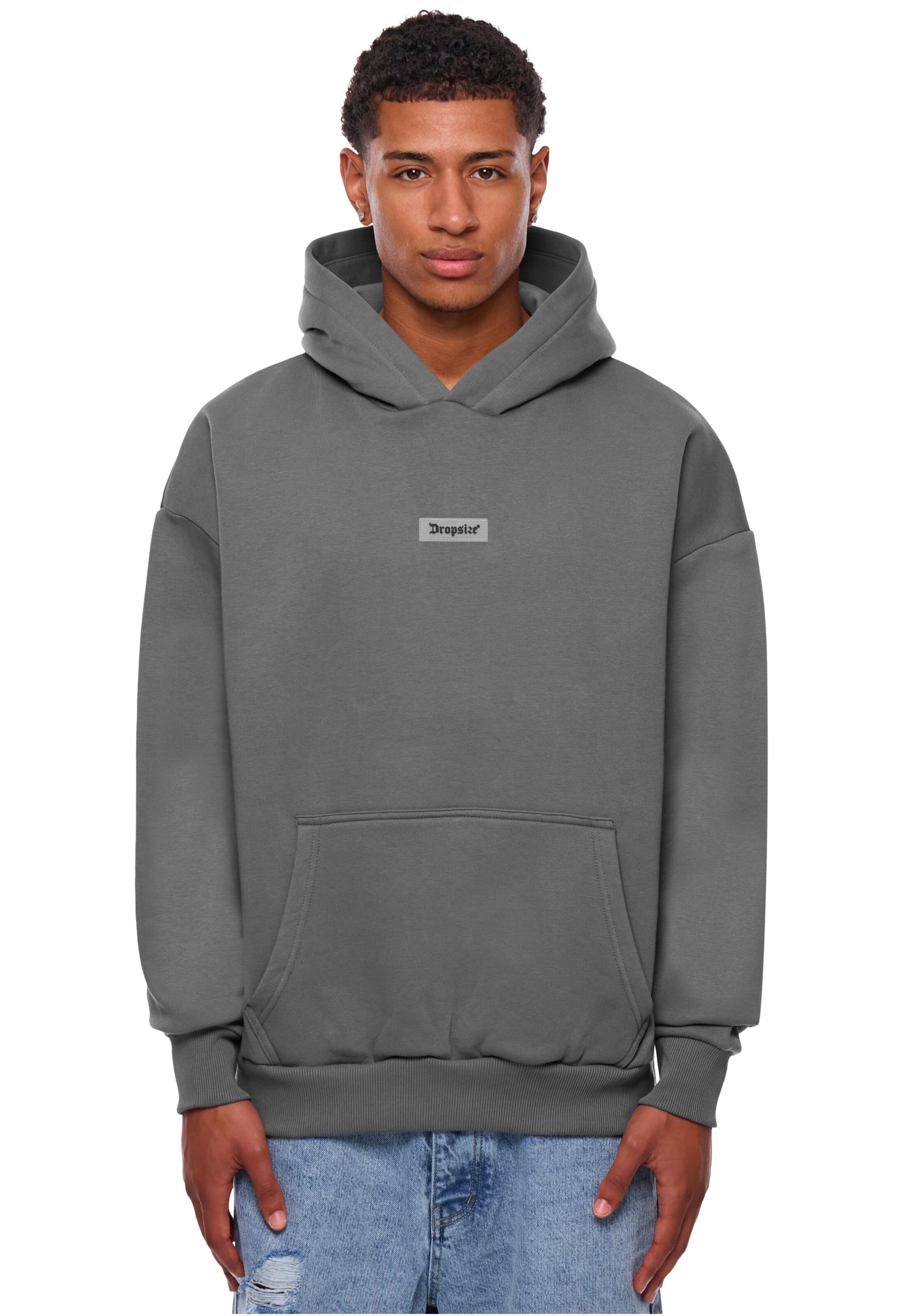 Dropsize Sweatshirt in Grey: front