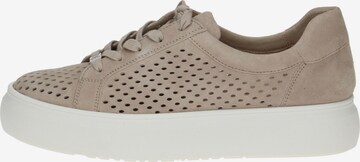 Sneaker bassa di CAPRICE in beige