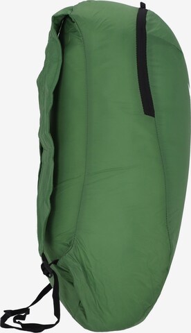 SALEWA Sports Backpack in Green