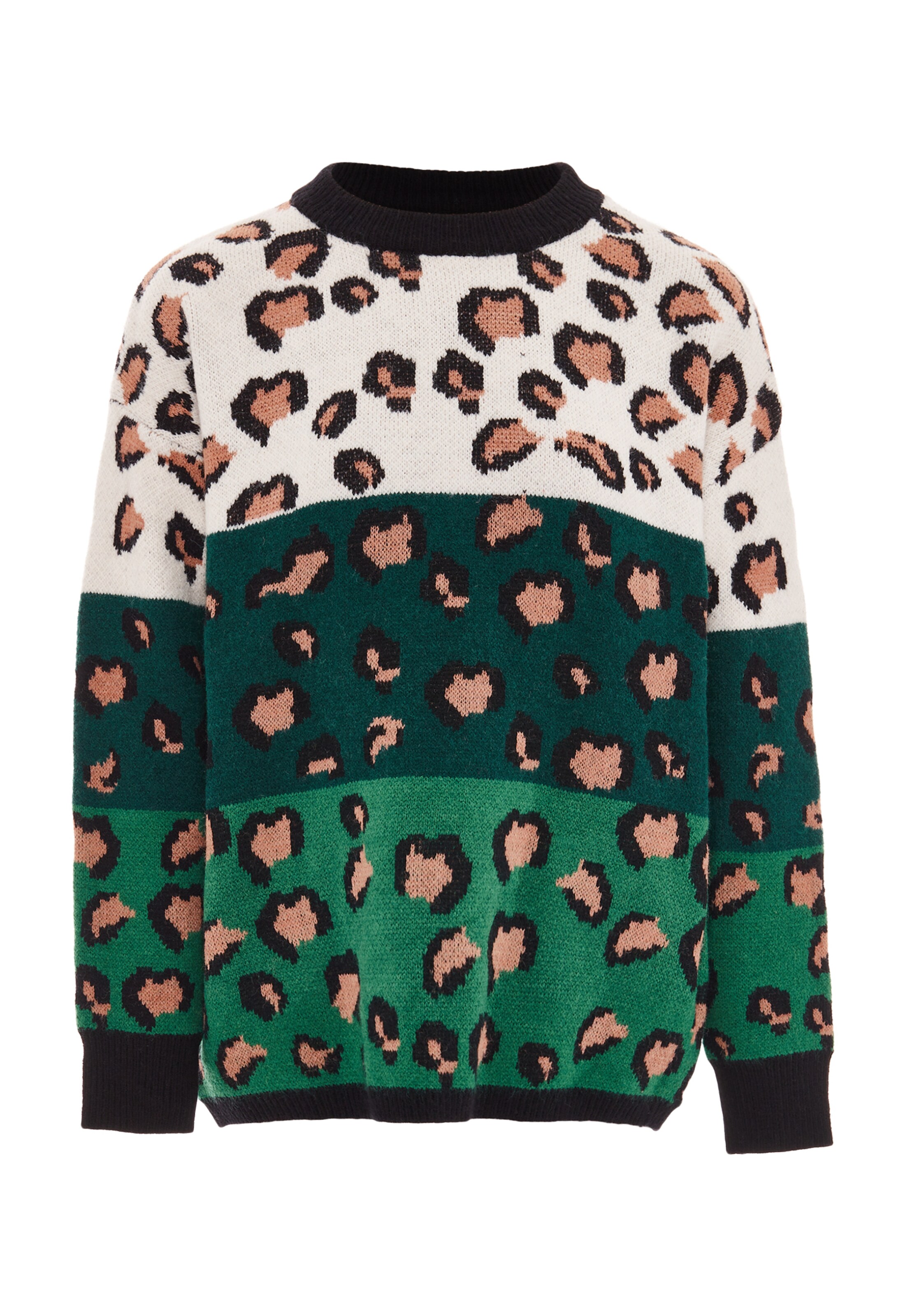 ebeeza Pullover in Grün: Vorderseite