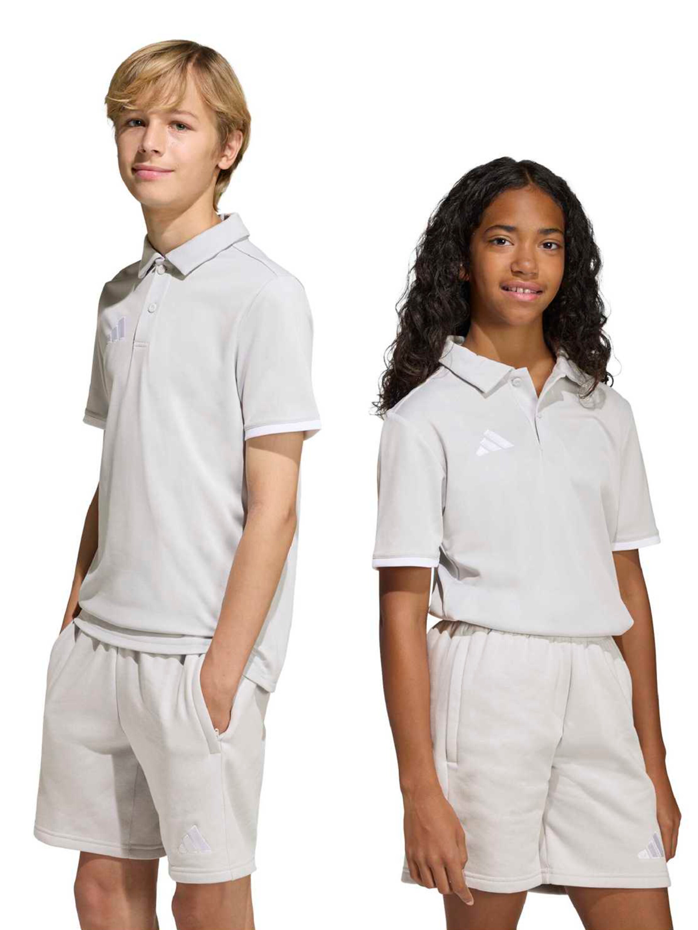 ADIDAS PERFORMANCE Toiminnallinen paita 'ENT26' värissä harmaa: etupuoli