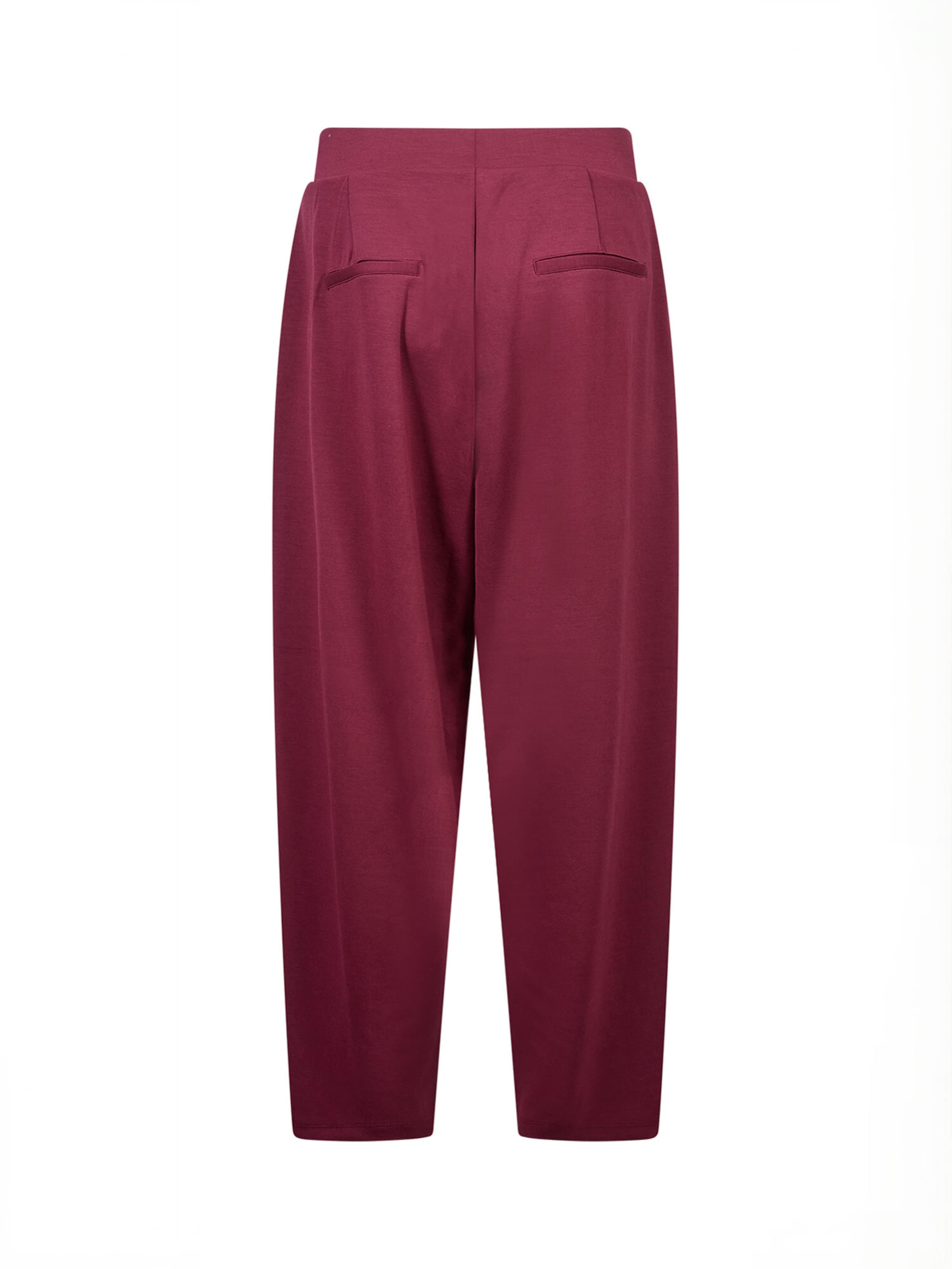 regular Pantaloni ' SC-BANU ' di Soyaconcept in rosso: dietro