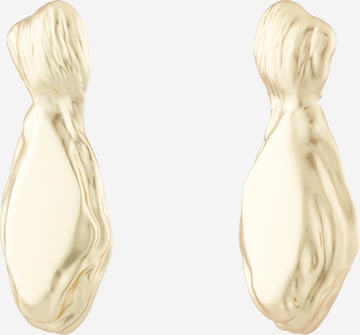 zelts & Other Stories Auskari: no priekšpuses