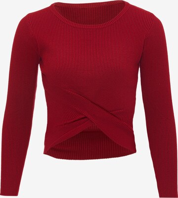 leo basics Sweater in Red: front