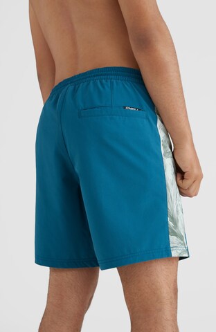 O'NEILL Zwemshorts in Blauw