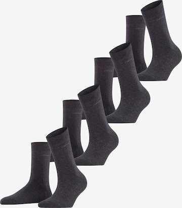 ESPRIT Socken 'Solid 4-Pack' in Grau: Vorderseite